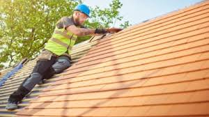 Best Roof Insulation Installation  in Homer, MI