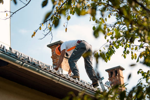 Best Roofing for New Construction  in Homer, MI