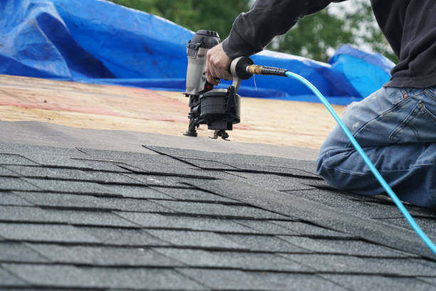 Best Roof Coating and Sealing  in Homer, MI