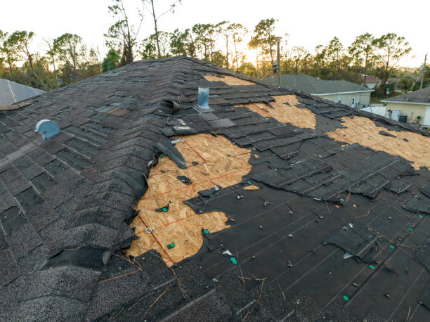 Best Rubber Roofing (EPDM, TPO)  in Homer, MI