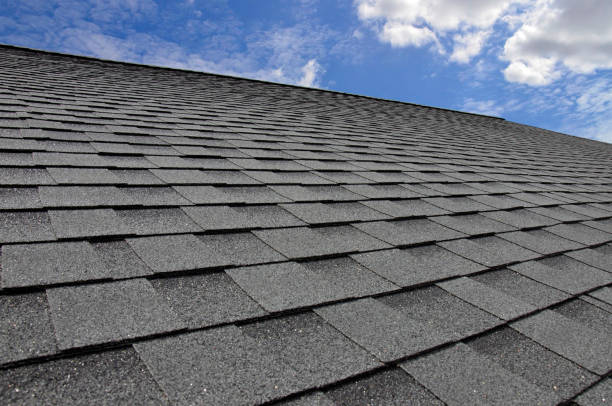 Best Roof Ventilation Installation  in Homer, MI